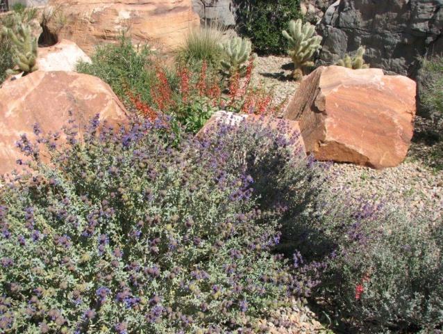 Commercial: Landscaping Xeriscape Conversion Study City: Las Vegas, Nevada County: Clark Supplier: various SIC/NAICS Code: NA Project Goal To determine water savings for converting residential turf