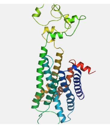 protein structure of
