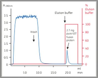 IgG ~30 mg/ml Purification of monoclonal IgG for fast purifications from large sample volumes. Prepacked with MabSelect.