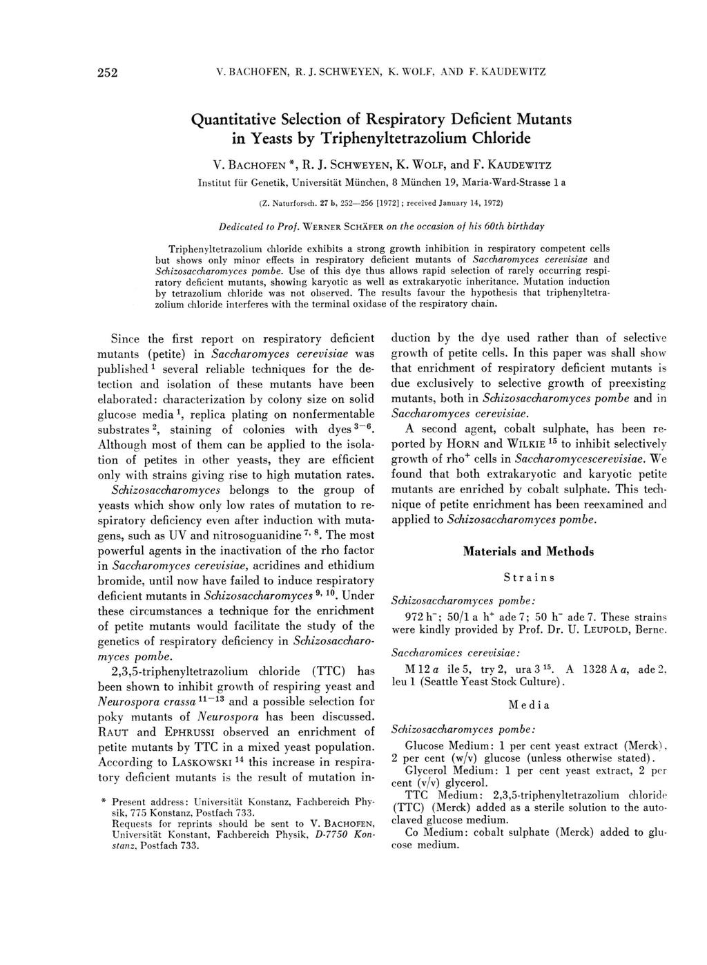 V. BACHOFEN, R. J. SCHWEYEN, K. WOLF, AND F. KAUDEWITZ 252 Quantitative Selection of Respiratory Deficient Mutants in Yeasts by Triphenyltetrazolium Chloride V. BACHOFEN *, R. J. SCHWEYEN, K. WOLF, a n d F.