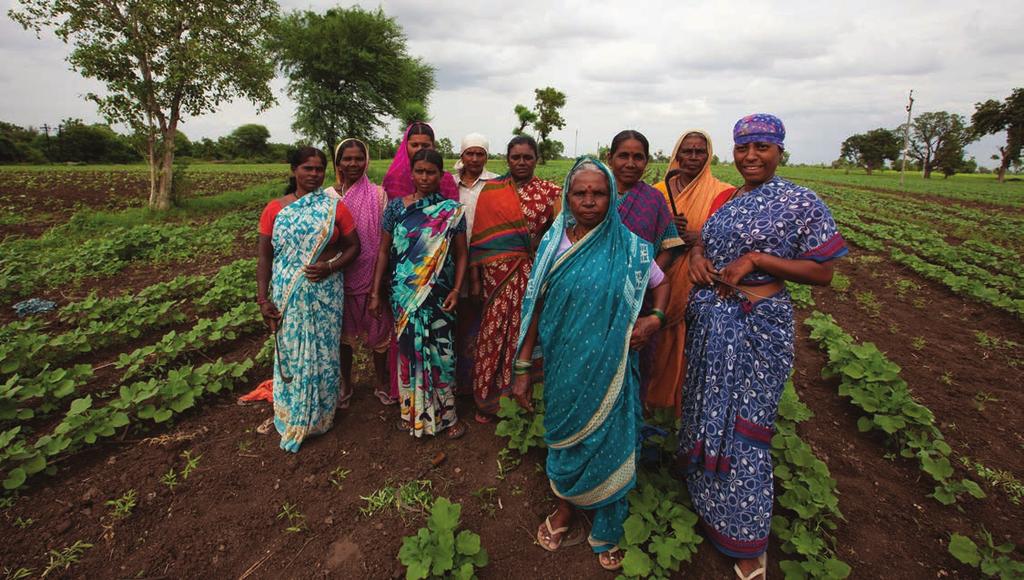 IFAD and the Government of India have achieved significant results investing in the commercialization of smallholder agriculture and building small farmers capacity to increase incomes from market