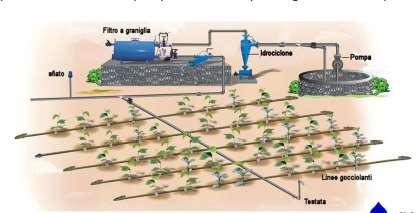 digestate can used in drip