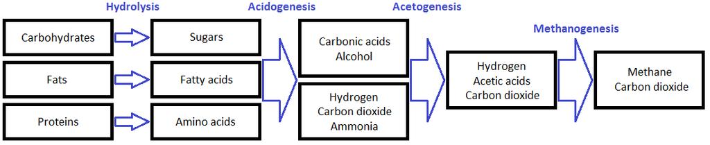 5 Figure 2: Process steps of anaerobic digestion [6, p. 106] The first step in anaerobic digestion process is called hydrolysis.