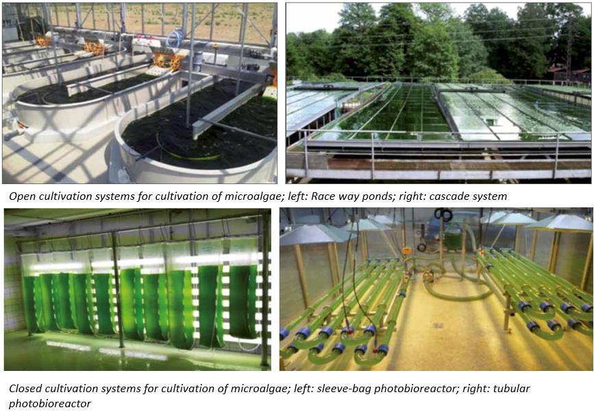 21 Figure 4: Different micro-algae cultivation systems [20] 3.2.2 Harvest of micro-algae Even though micro-algae can be used for wide range of applications, production of microalgae is not economically viable yet for biofuel production.
