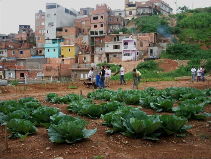 2. Better integration of urban agriculture in urban development, land use