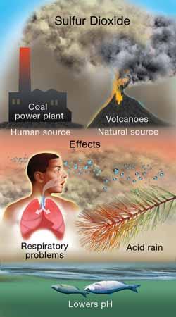 CHAPTER 15: ECOSYSTEMS Pollutants What is a pollutant? Sulfur dioxide is a pollutant Mercury is a pollutant Human activities affect ecosystems in both positive and negative ways.
