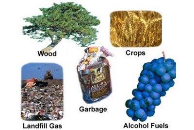 Growing plants remove greenhouse gasses Does not produce much pollution Inexpensive Produces some pollution