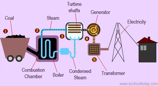 COAL NUCLEAR ENERGY Smaller Large (Uranium) Smaller Describe how it works: Coal is made from dead swamp plants that have undergone extreme heat & pressure underneath layers of sediments.