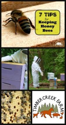 You may also be interested in these posts on Bee Keeping Installing