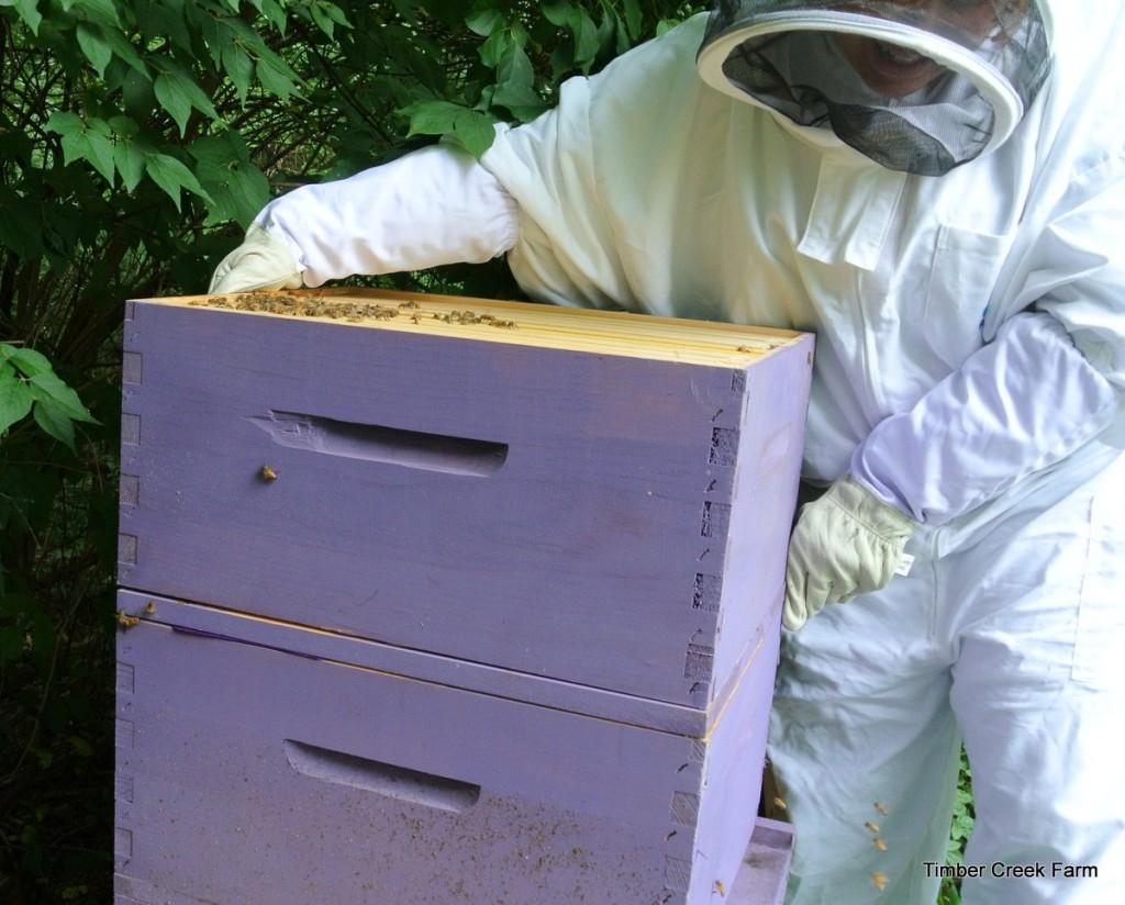 bees die out. When adding bees, first take the time to learn how to start a honey bee farm because it deserves some unique considerations.