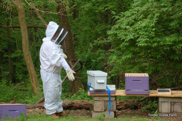the installation from the nuc box to the hive was very easy and simple The first spring and summer When our day arrived to pick up the NUC.