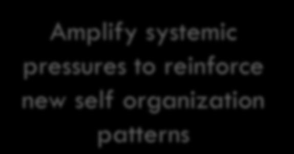 Organization Emergence Amplify systemic pressures to reinforce new self organization