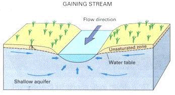 Groundwater Groundwater discharges into: Gaining streams (in humid regions