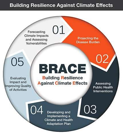 BRACE Framework