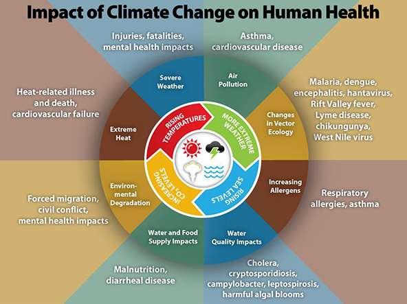 Impact of Climate