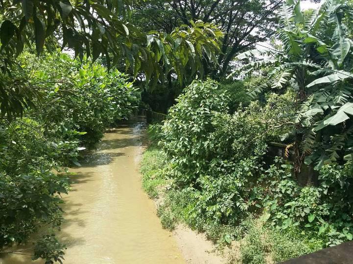 A small drain like canal runs by the side of the office campus which is connected to Bakkhali River and plays important role in draining out storm water from the city.