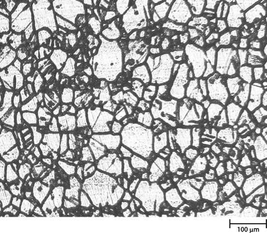 microstructure of tube,