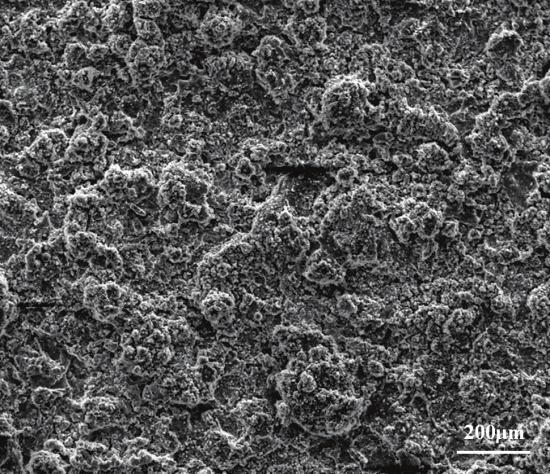 174 J.J. Kang et al. / Physics Procedia 50 ( 2013 ) 169 176 were all prepared with the optimized parameters as above 3.2. Microstructure and porosity The surface and cross-sectional microstructure of plasma sprayed AT40 coating were shown in Fig.