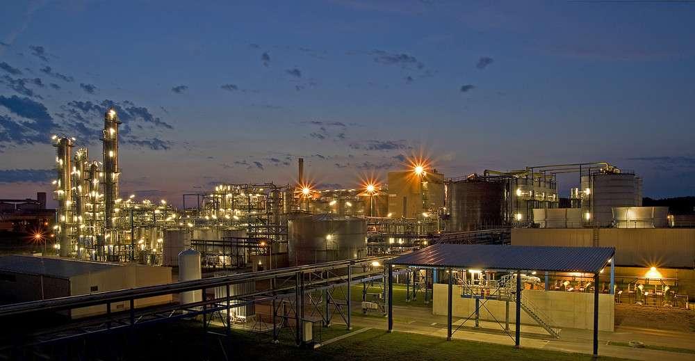 BioEnergy Markets will be Dominant 50 40 Bioethanol Production [mio m³] 30 20 BRA 10 USA 0 EU