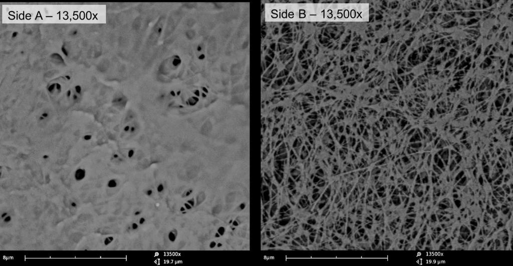 Figure 6: SEM images of conventionally treated (pad coated) eptfe membrane.