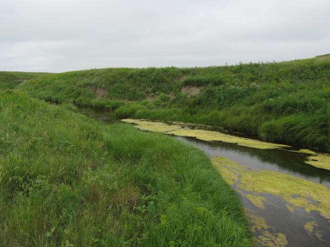 North Dakota Rivers and Streams Based on biological and