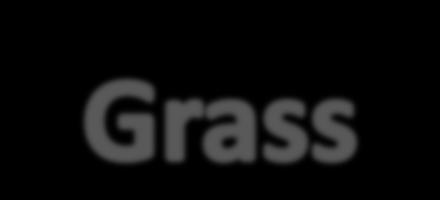 Grass Which of the