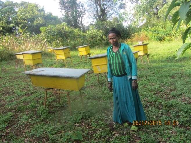 Training Topics The training will mainly focus on : seasonal management of bees, harvesting, storage and