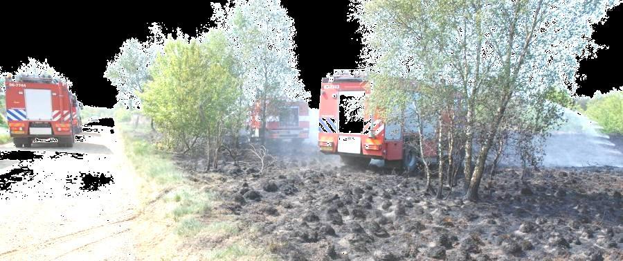 Netherlands Fire Investigation Recommendations Introduction Pursuant to our recent undertaking in providing wildfire investigation training to members of the Dutch Fire and Police Services, we were