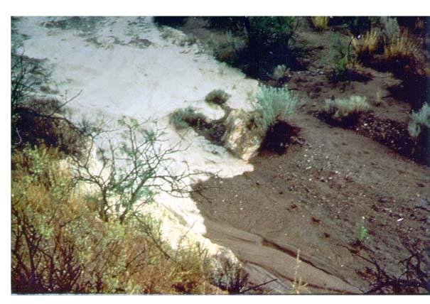 capacity is a limiting factor and infiltration excess is the dominant storm runoff process.