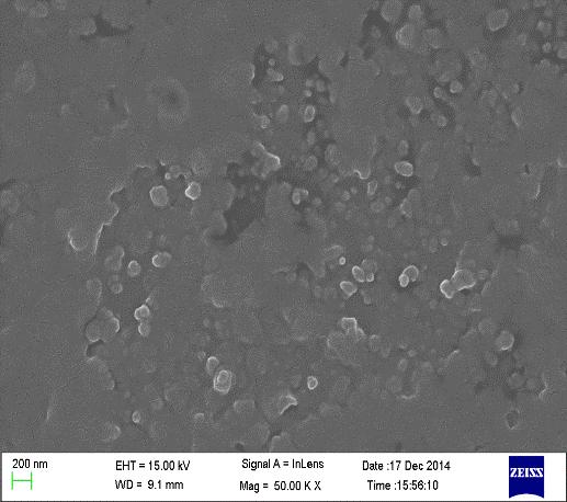 Particle size 68nm