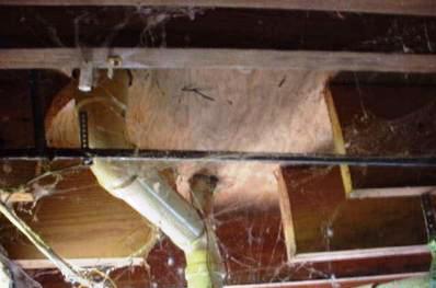 4. Plumbing Installation Plumber simply removed the floor joists that got in the way of the toilet installation.