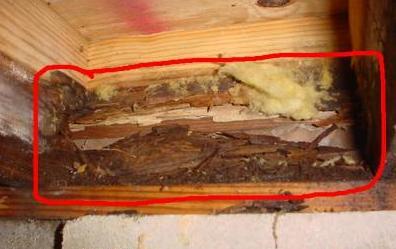 1. Foundation Clearance to Grade Three months later, the buyer found this behind