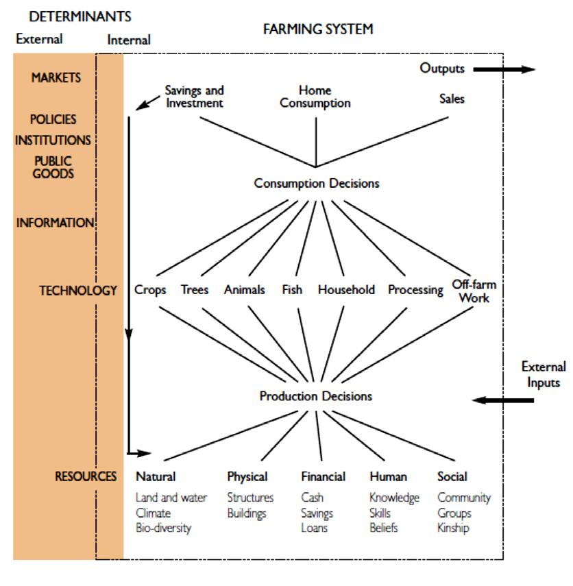 Figure 2-2 Farm household decision-making: Connecting resources, production, consumption and investment (Source: Dixon et al. 2001).