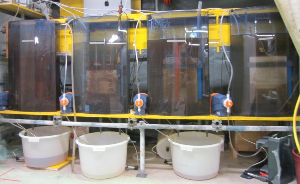 Experimental approach The four lab working models (R1-R4) each consist of a (1) Bambi reactor with a (2) membrane (area 3 m 2 ) and a (3) clean water tank (CWT) that contains the electrolysis module