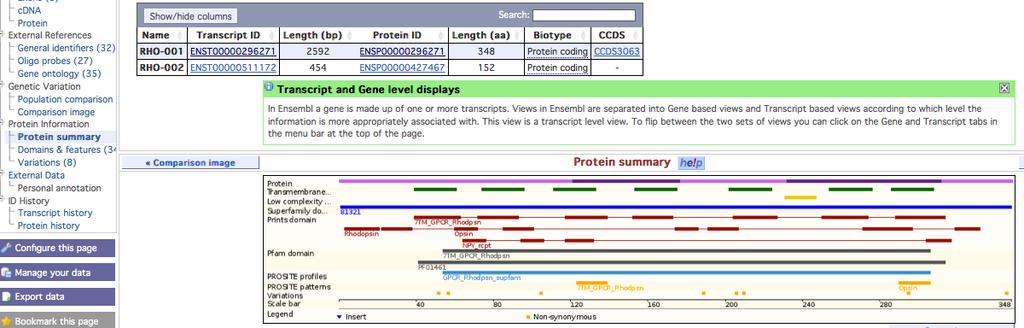 Protein summary: mapped domains and