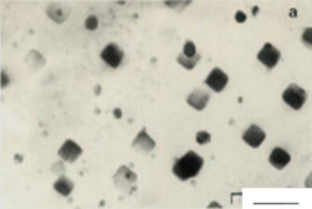 9 was: [011]ppt [011]α, and [001]ppt [111]α 3.3.4 Cuboid-shaped precipitates in α-grains The cuboid-shaped precipitates were distributed throughout the α-grains (Fig.10).