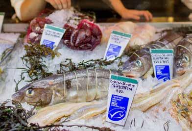 CERTIFIED SUSTAINABLE SEAFOOD Marine Stewardship Council MSC Chain of Custody