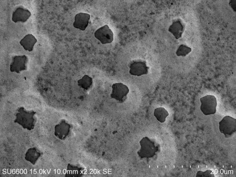 The chemical analysis of Ti/Al/ Ni/Au ohmic contacts to AlGaN/GaN heterostructures was examined with the use of a scanning electron microscope equipped with an energy dispersive spectrometer. 3.