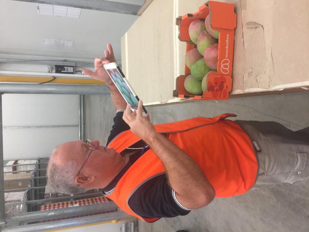 Fruit inspected