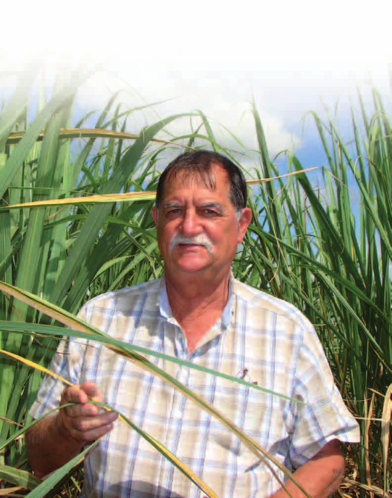 THE Published by the South African Sugarcane Research Institute L NK May