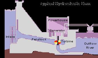 generate electricity. Hydroelectric power plants have a dam that prevents a river from flowing.