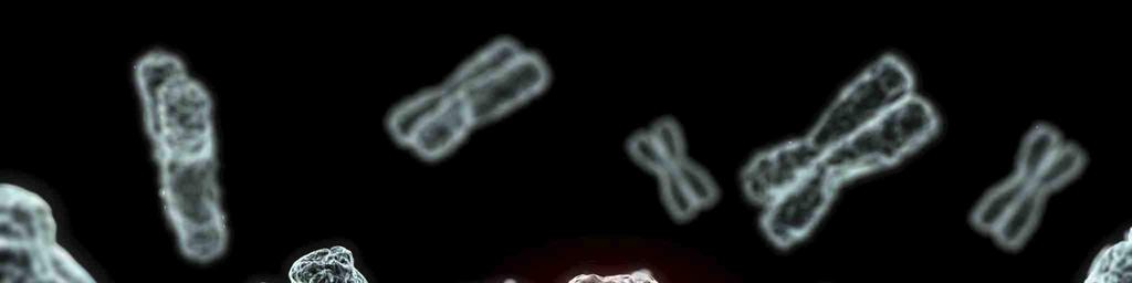 Chromosome mutations Chromosome mutations could have evolutionary