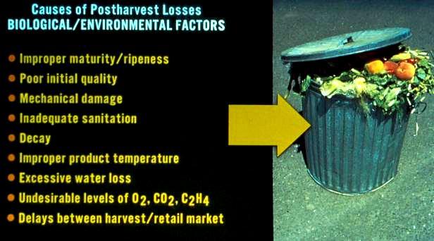 Postharvest Losses of Foods of Plant Origin Quantitative Qualitative Loss of acceptability by