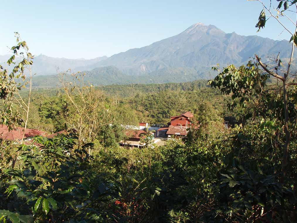 Finca El Platanillo, a coffee farm in southwestern Guatemala, has been Rainforest Alliance Certified since 2005.