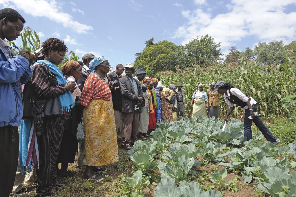 Land O Lakes Legacy in Kenya Increased Productivity Significant improvement in crop yields and cost effectiveness Livelihood Training mostly female farmers; women bear primary responsibility for