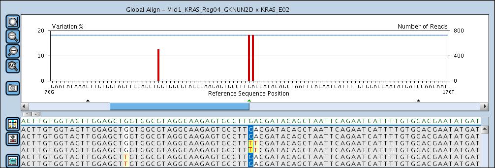 0) that automatically creates an AVA project with the sequencing reads aligned to the target genes reference sequences.