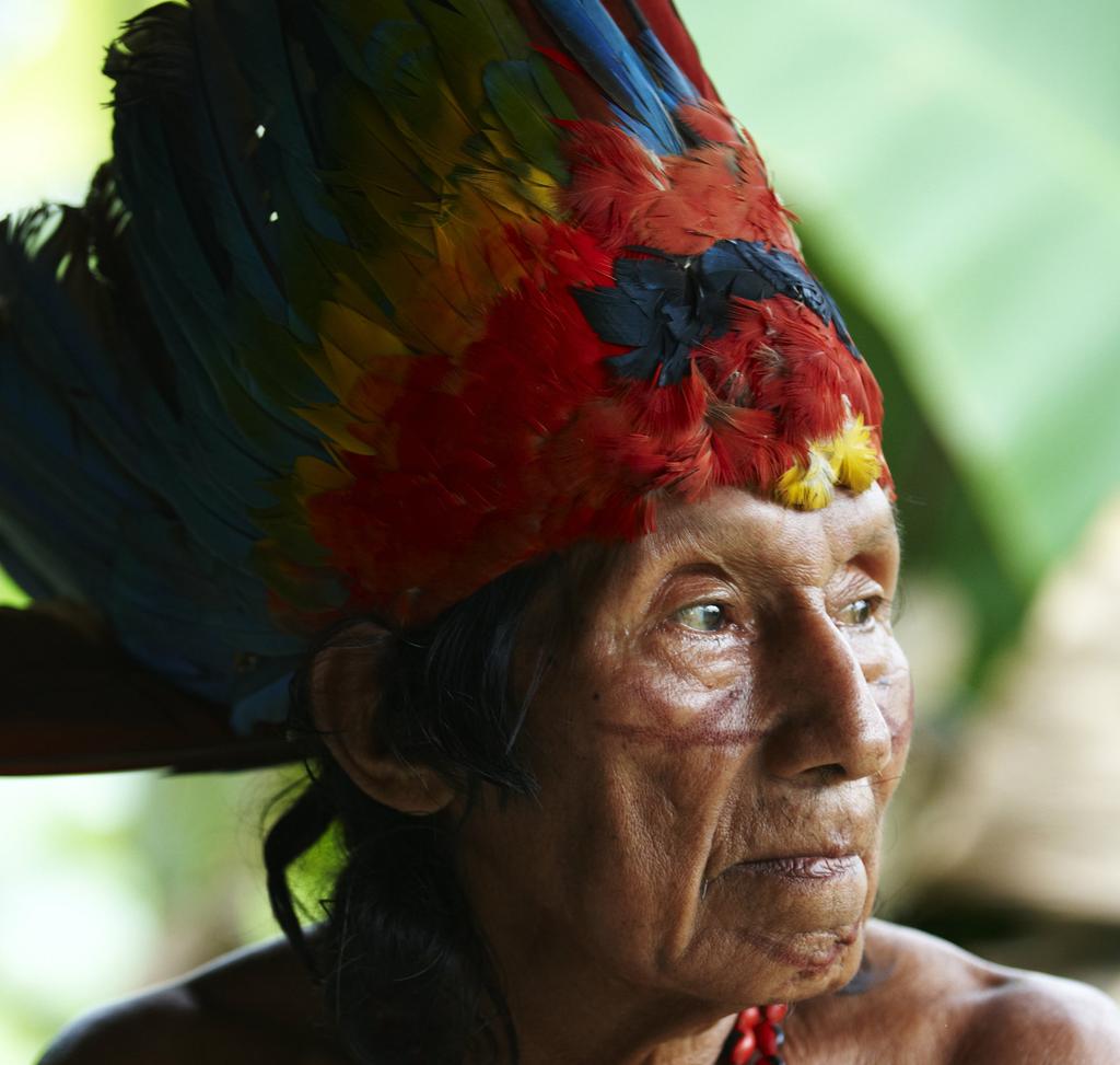 October 2017 Amazonian Indigenous Peoples Territories and