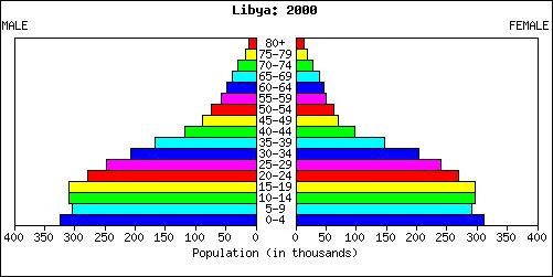 Figure 1: Population Pyramids