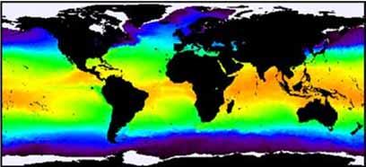 get stressed and bleach -NOAA satellites measure global ocean