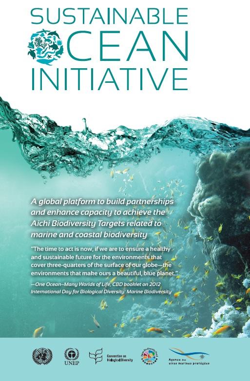 Sustainable Ocean Initiative Global platform to build partnerships and link efforts to enhance capacity to achieve the Aichi